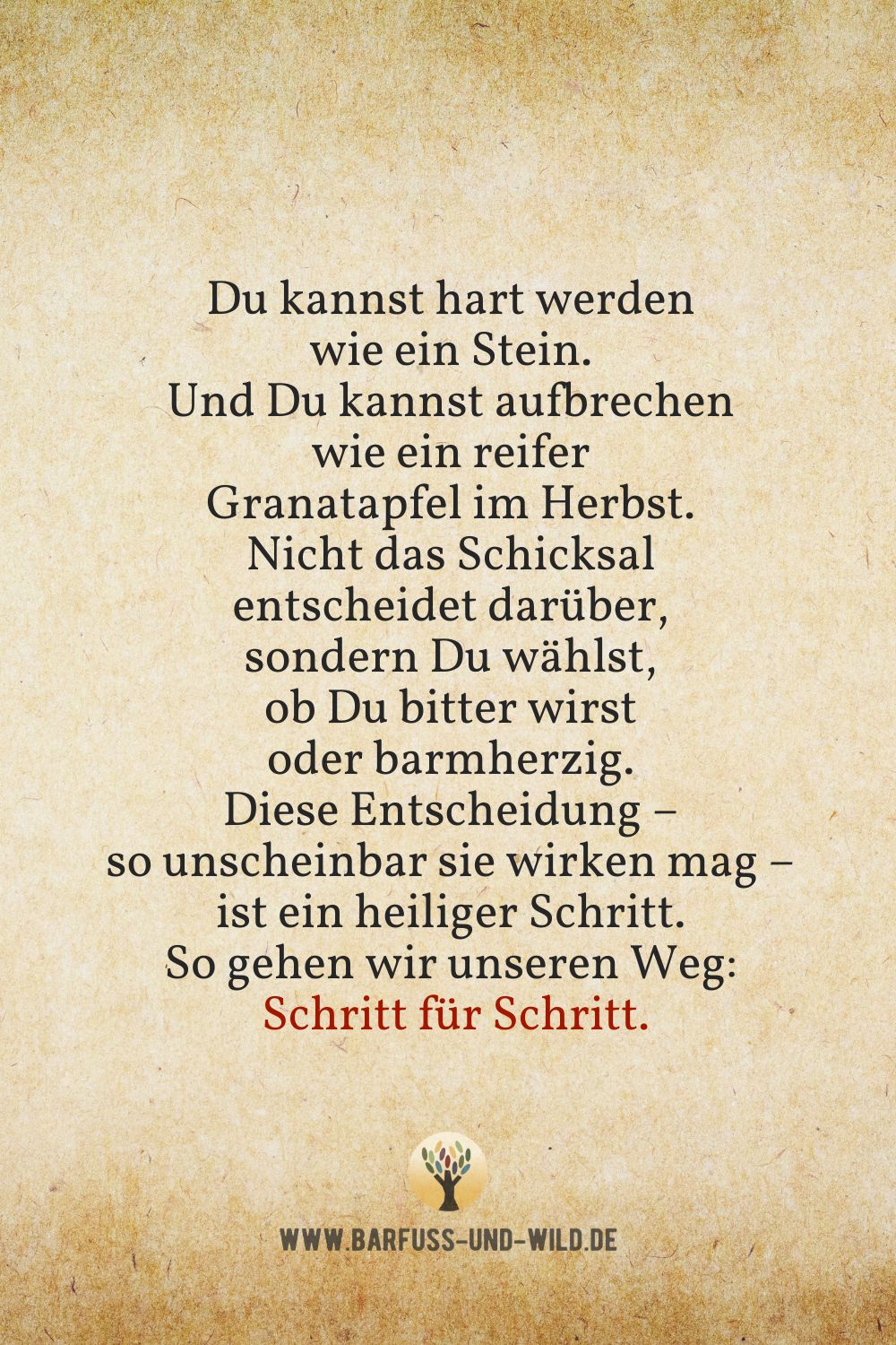 Seelenfutter Bildtafel