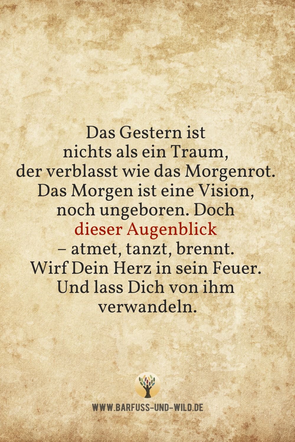 Seelenfutter Bildtafel