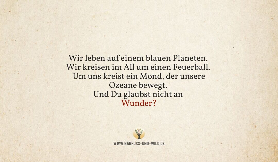 Kleine Erinnerung für alle, die den Glauben an Wunder verloren haben …
