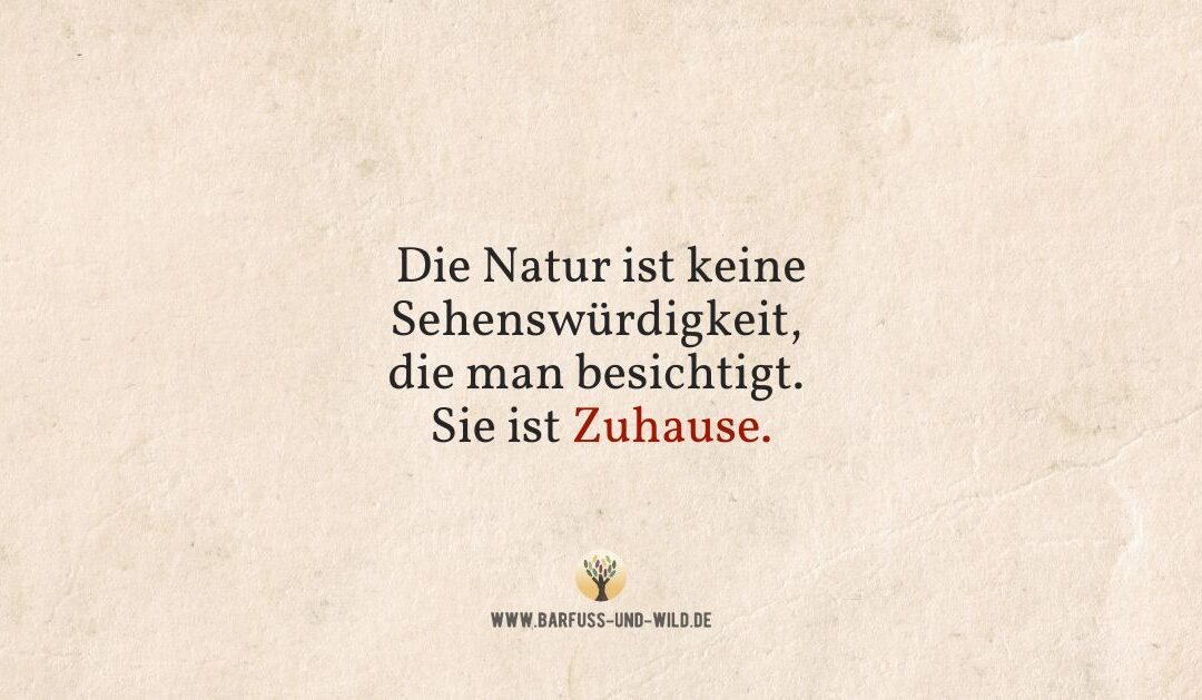 Wenn Du Dich gerade heimatlos fühlst, lies das hier …