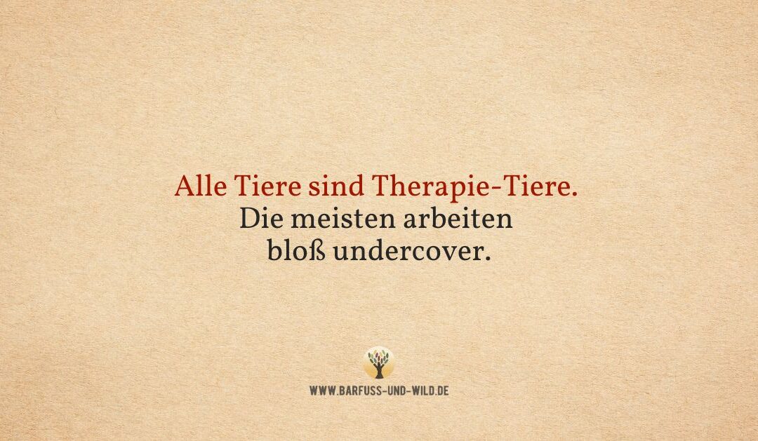 Was wir alle von den Tieren lernen können …