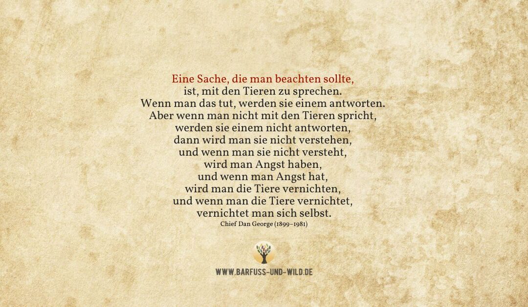 Wie wir denen danken können, die sich von uns essen lassen – besonders den Tieren …