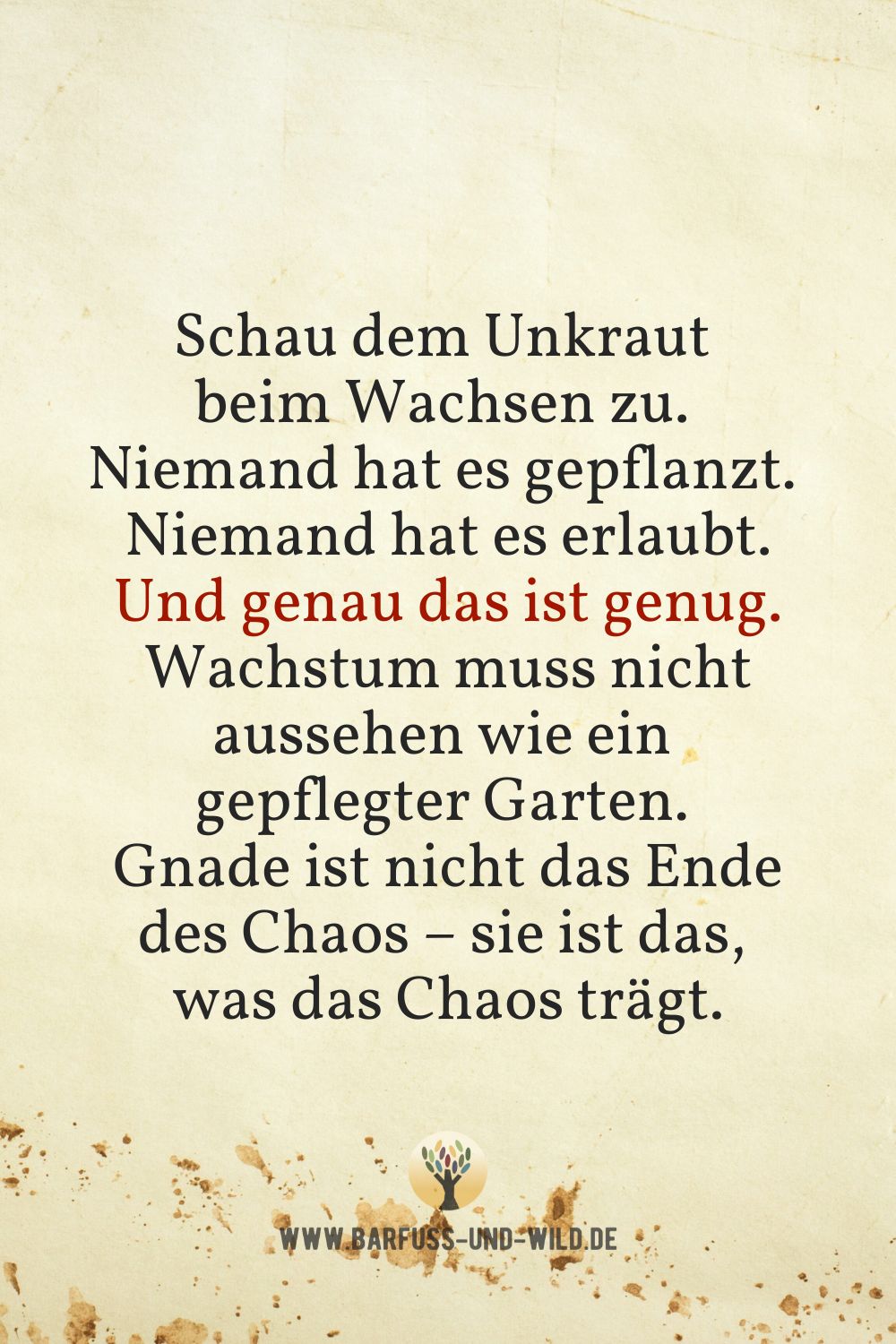 Seelenfutter Bildtafel