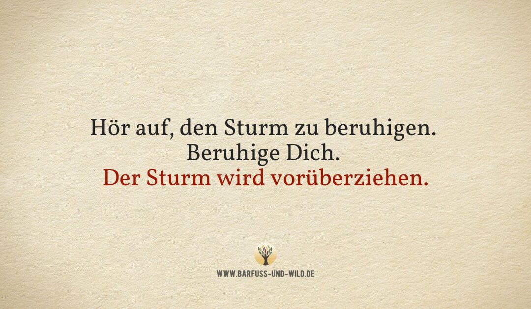 Kleine Erinnerung an alle, die gerade mitten in einem Sturm sind …