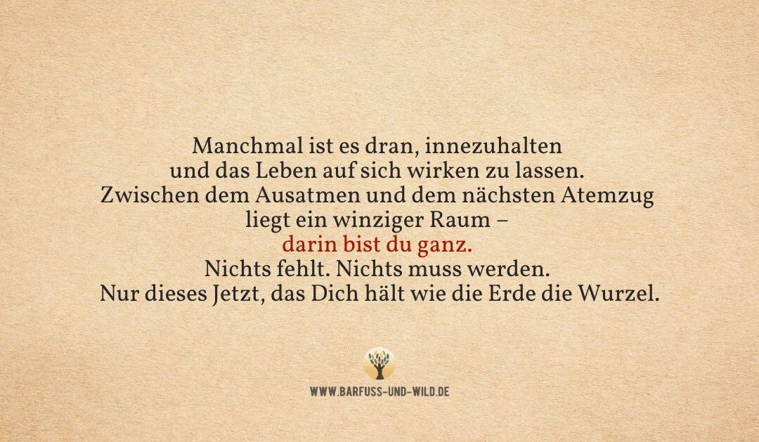 Eine Einladung für Tage, an denen alles zu viel erscheint …