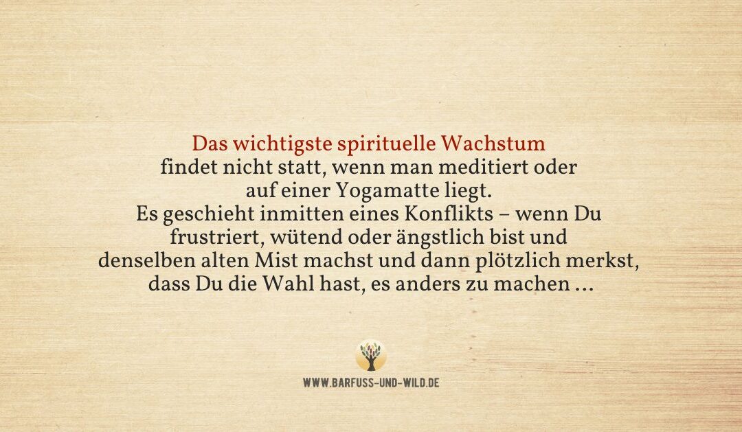 Warum es wichtig sein kann, auch Widerstände schätzen zu lernen …