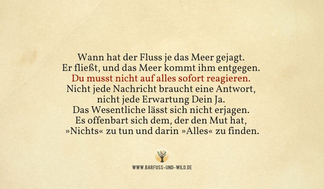 Was Du Dir vom Fluss abschauen kannst …