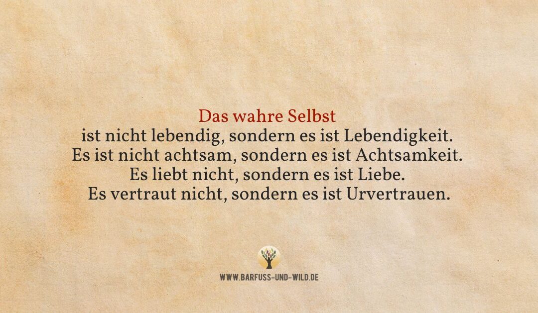 Das hier ist schon längst da, Du musst nichts dafür tun …