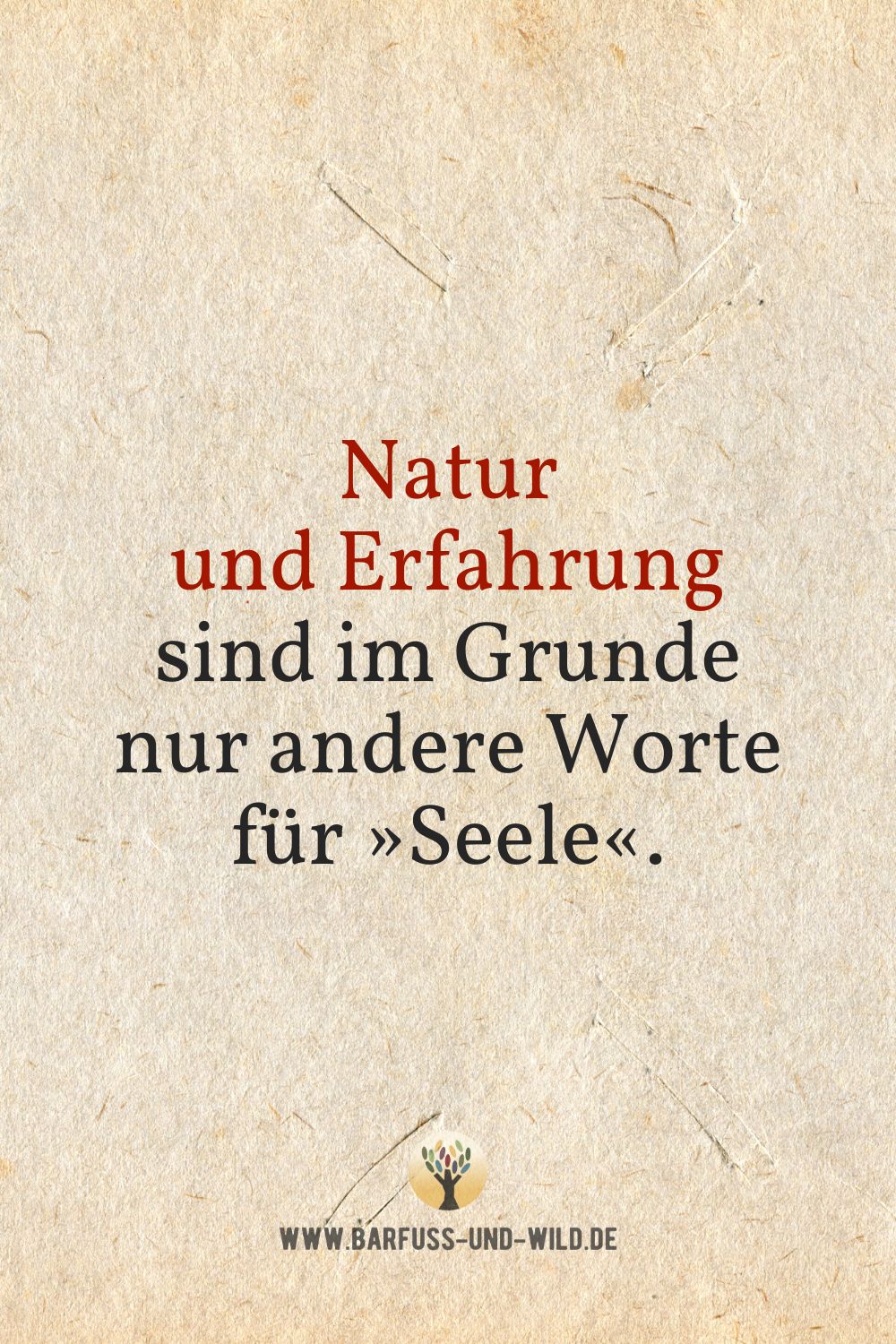 Seelenfutter Bildtafel