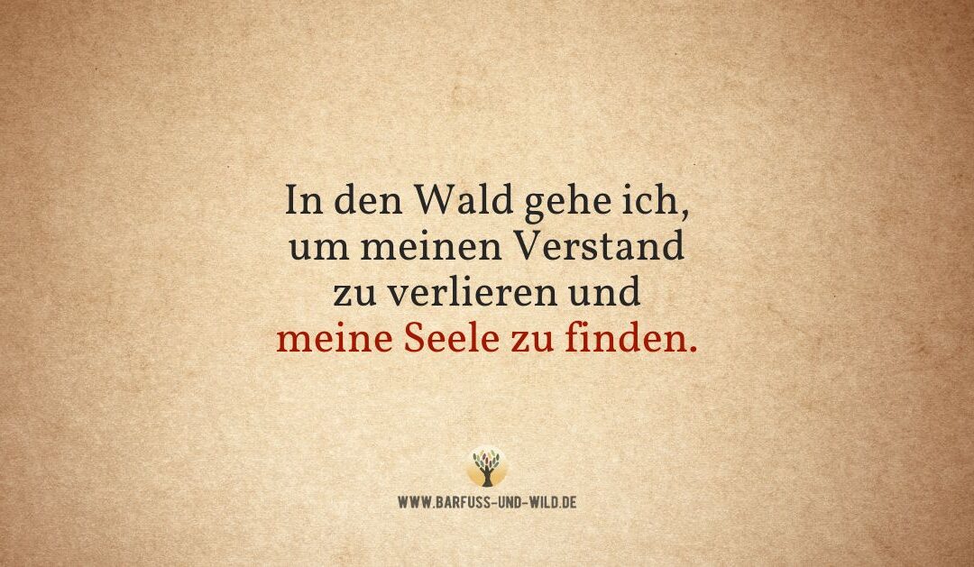 Der Wald ist für mich keine Holzplantage, sondern ein Heiligtum …