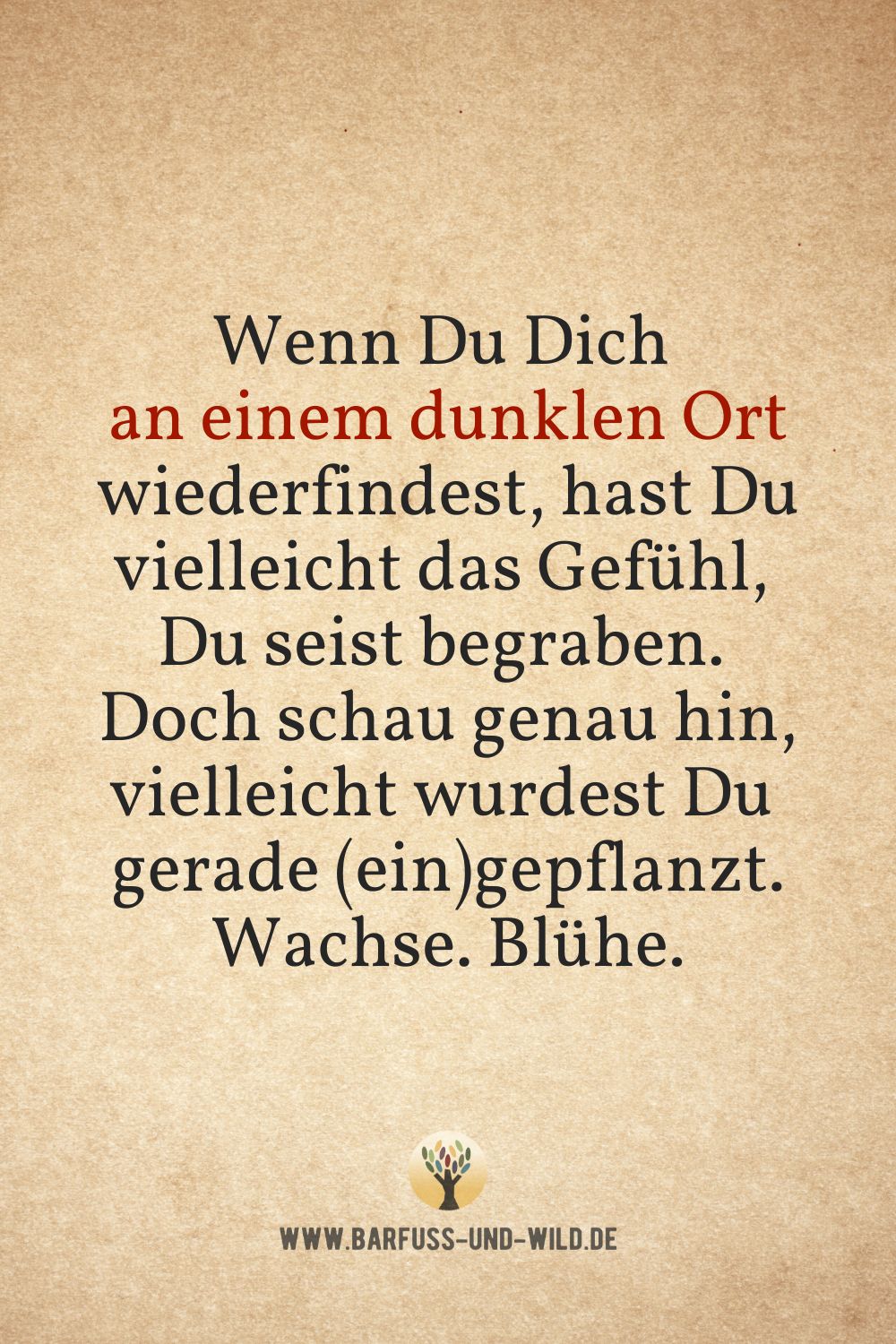 Seelenfutter Bildtafel