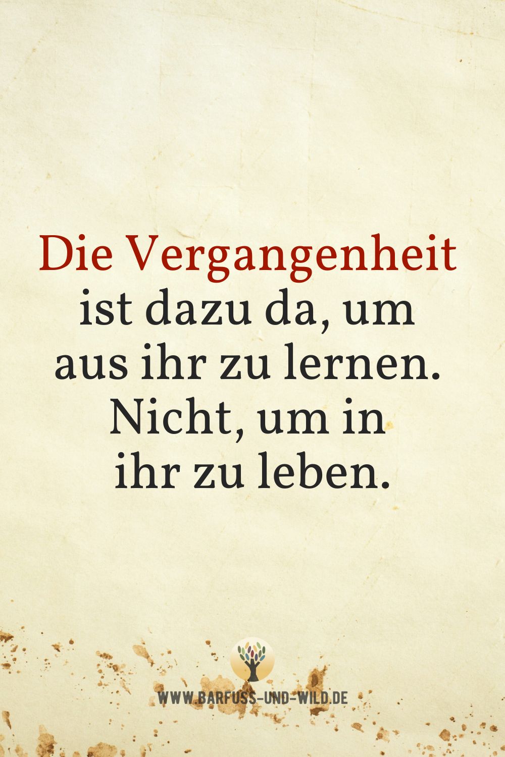 Seelenfutter Bildtafel