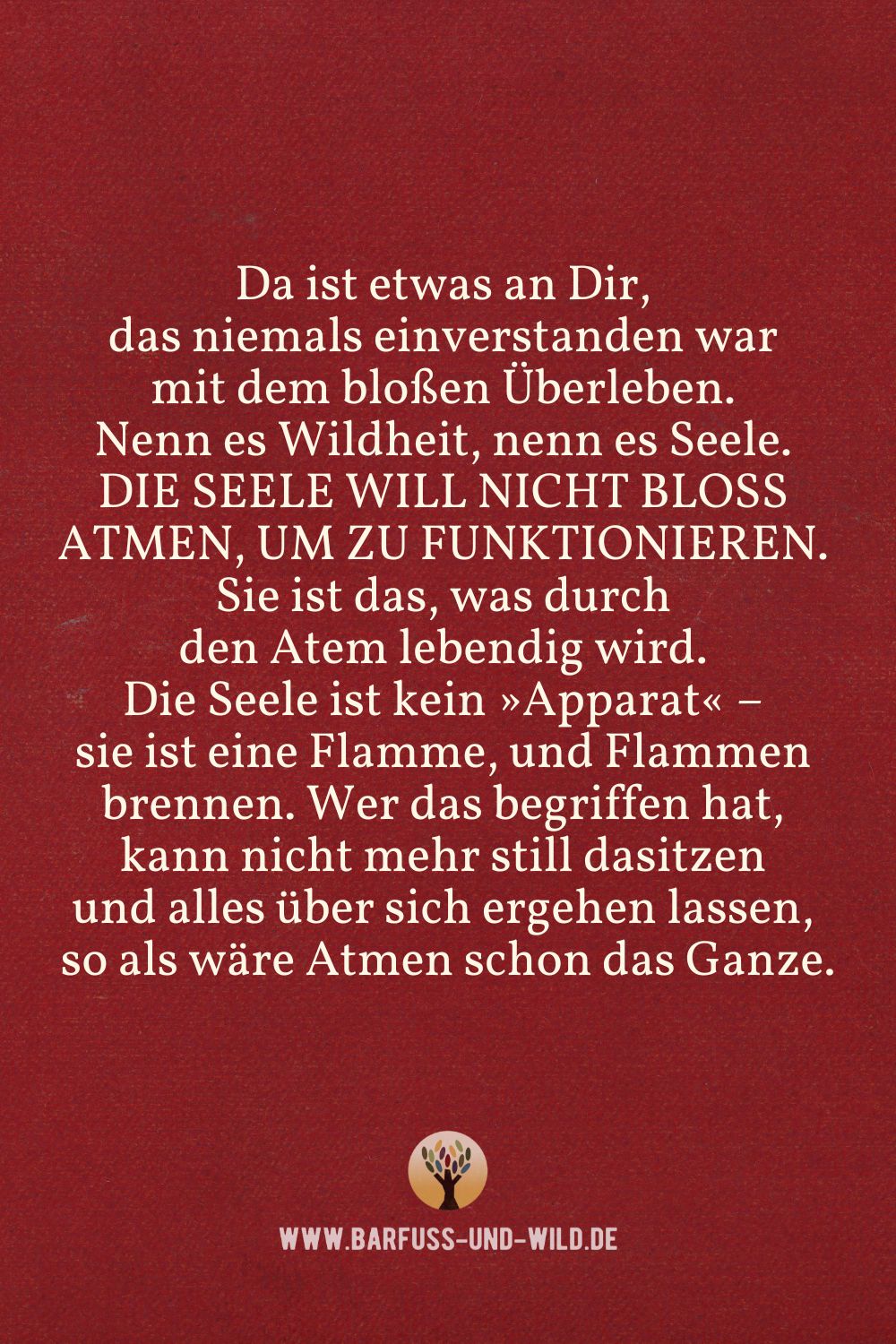 Seelenfutter Bildtafel
