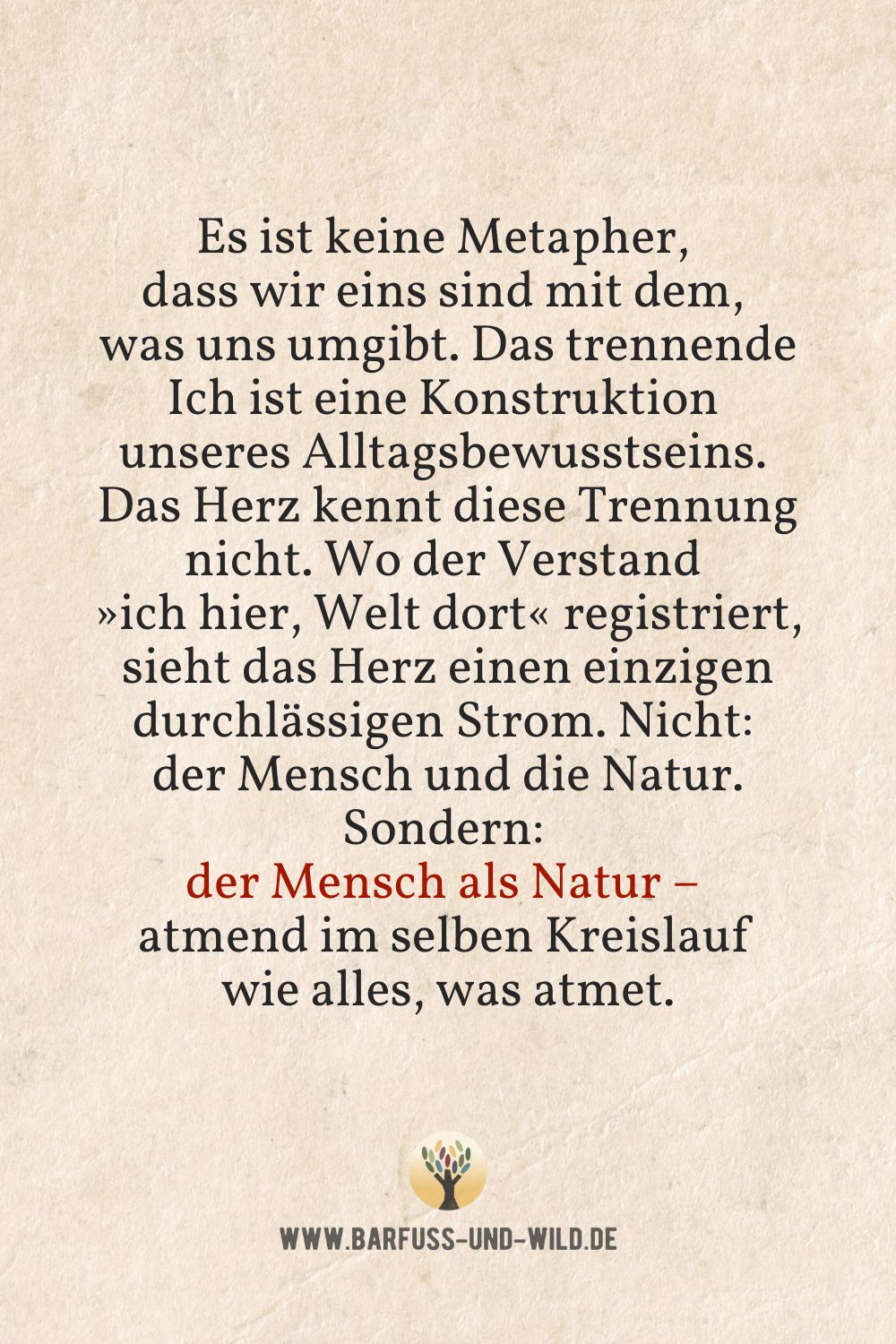 Seelenfutter Bildtafel