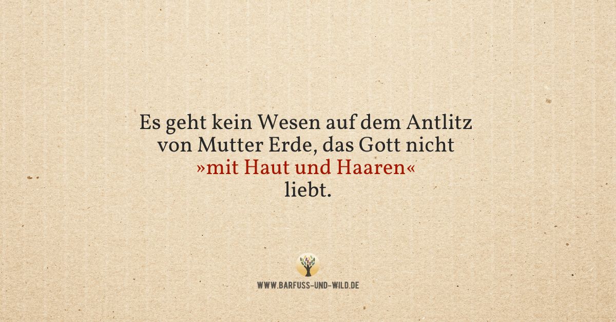 Auch wenn es sich oft anders anfühlt: Das hier ist sicher …