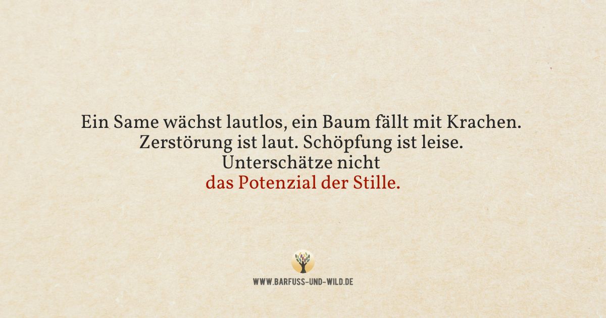 Wenn Du glaubst, dass immer nur die Lauten gewinnen …