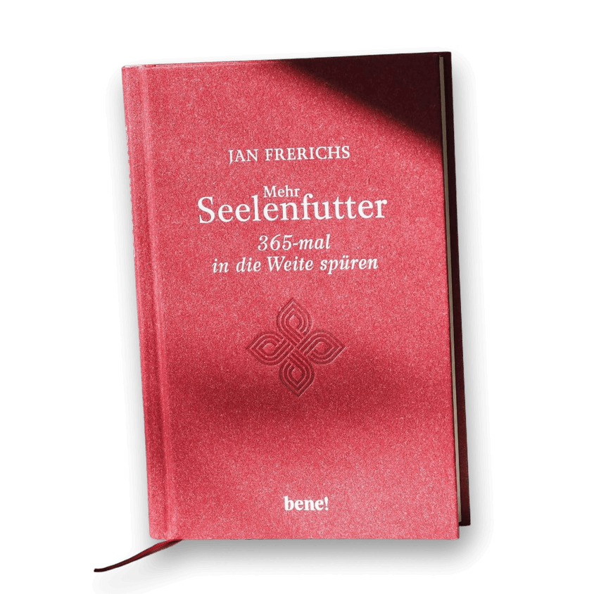 Buch Jan Frerichs, Anarchie des Herzens - 33 Anstiftungen zum wahren Leben