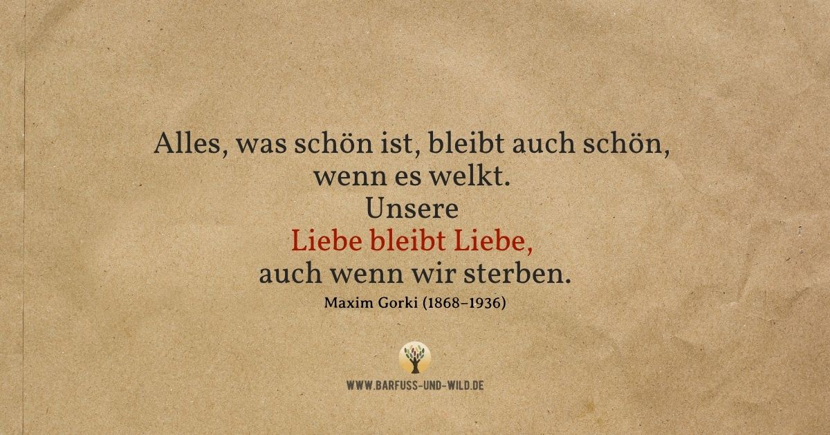 Bedenke das hier, wenn Dir das Älterwerden Angst macht …