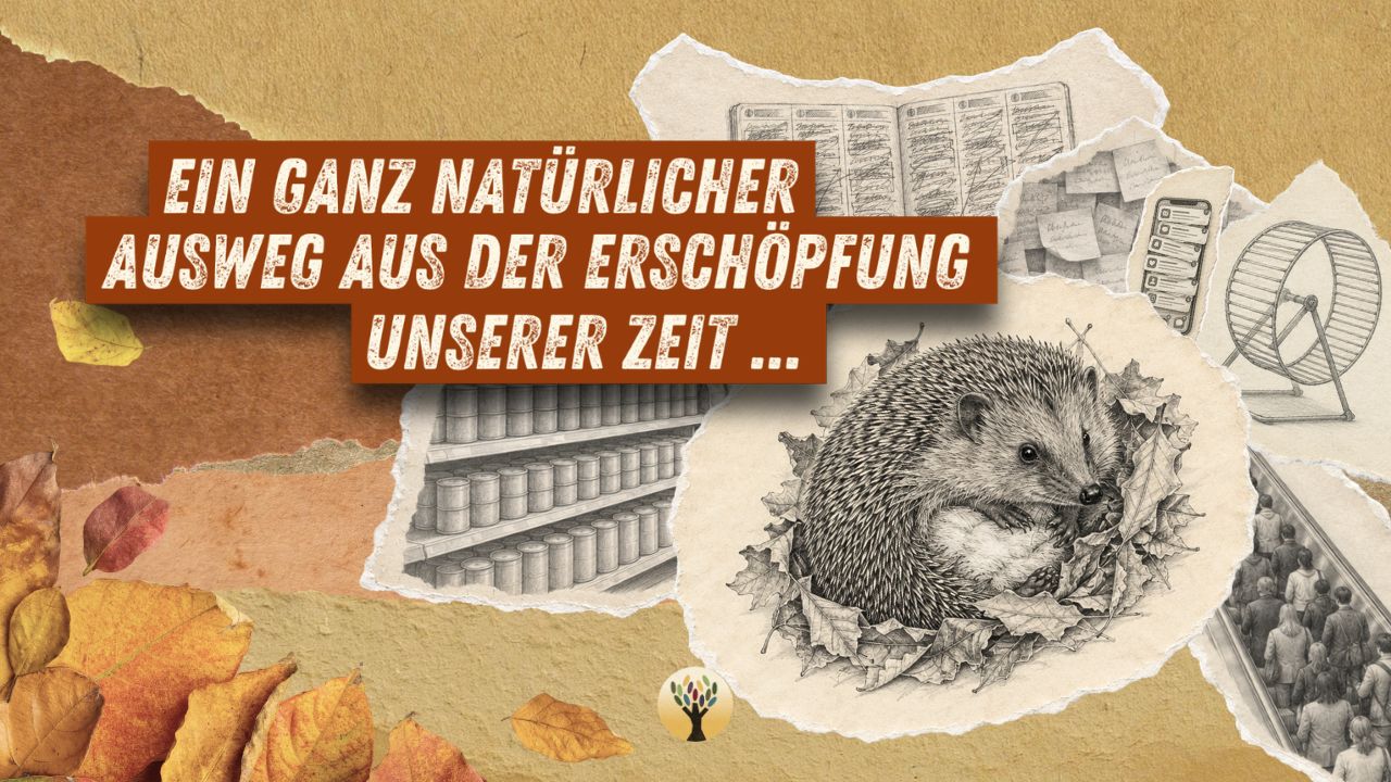 Ein ganz natürlicher Ausweg aus der Erschöpfung unserer Zeit …  [PODCAST #306]