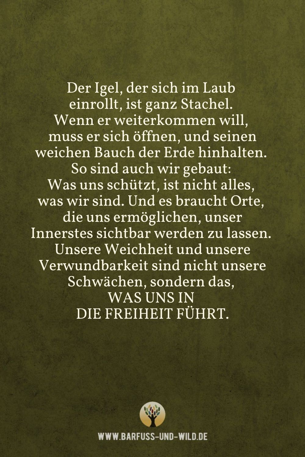 Seelenfutter Bildtafel